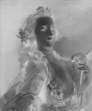 Black and White Negative Filter animation preview