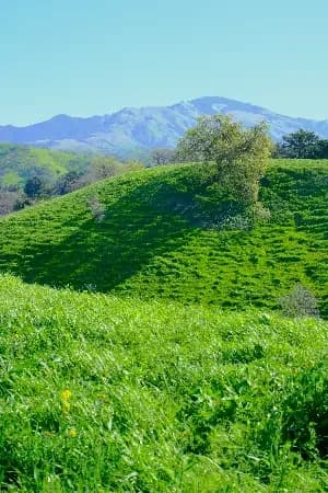 Highlight Brightness Adjustment animation preview