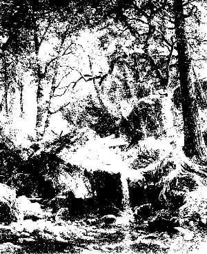 Lightness Threshold animation preview