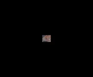 Spinning Reveal Animation animation preview
