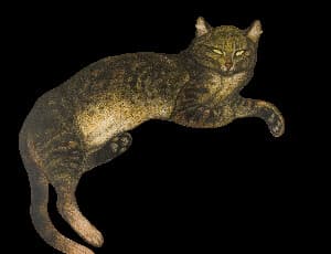 Cut Out Cat animation preview