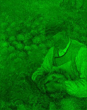 Green Channel animation preview